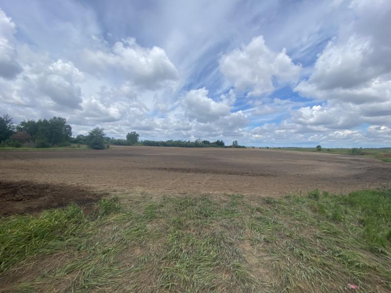 Real Estate Listings for Vacant Land Properties