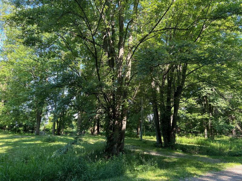 Real Estate Listings for Vacant Land Properties