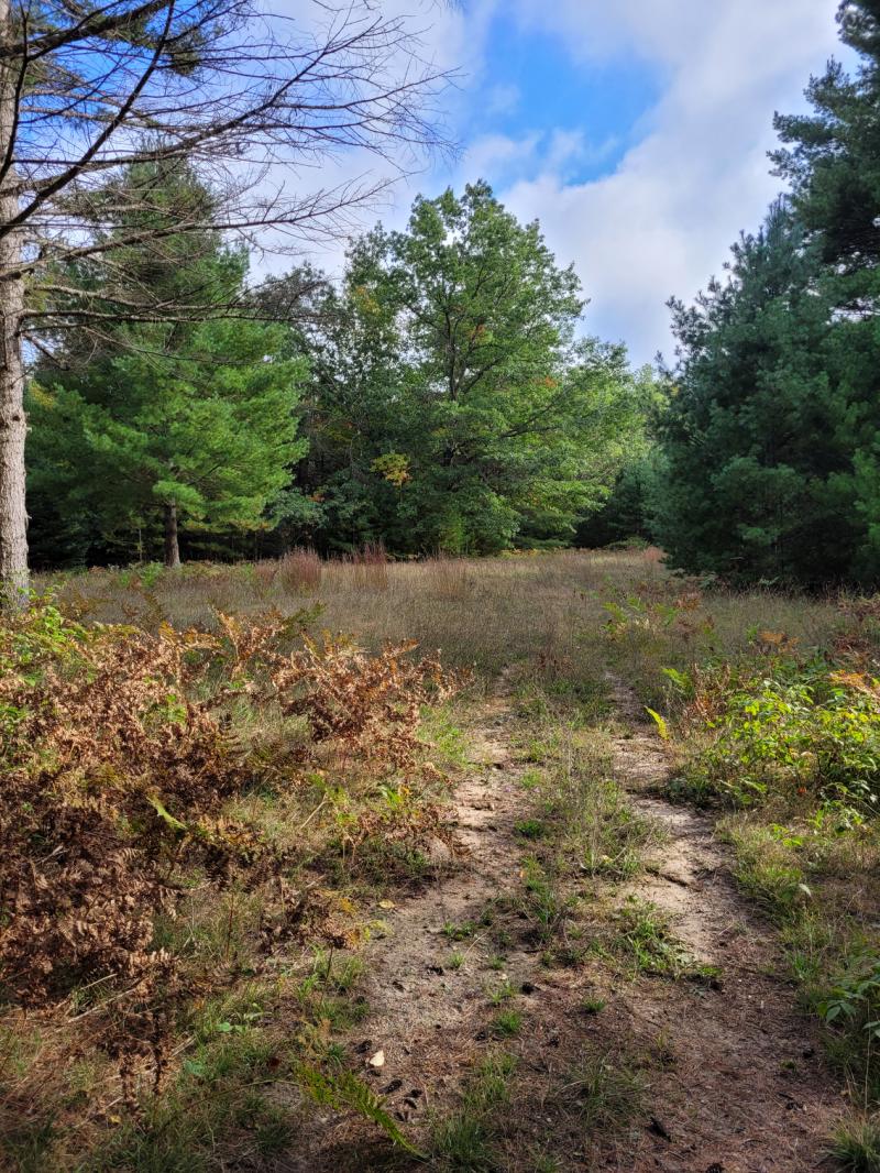 VACANT LAND LISTING 081230030