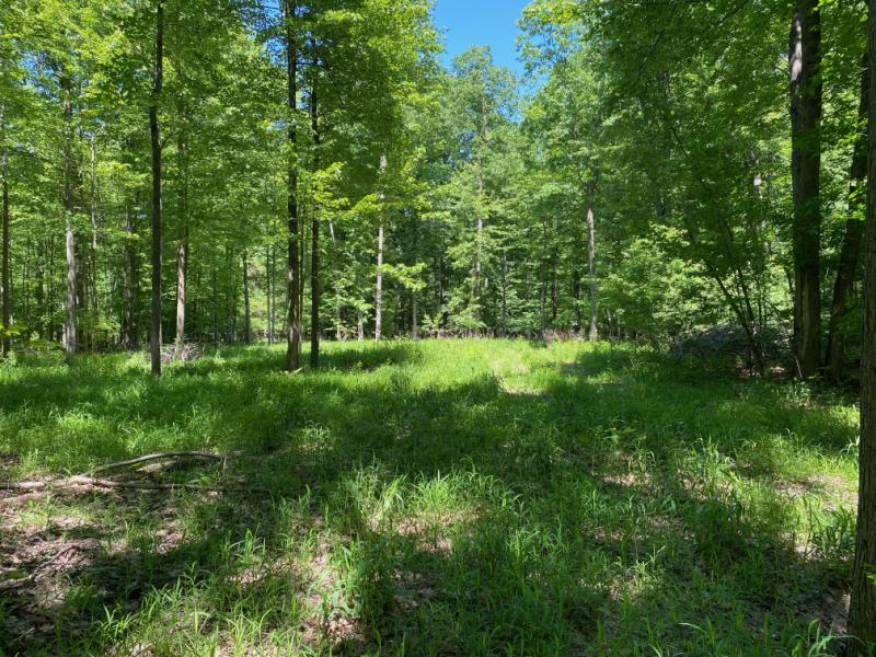 149,900; 17.27 acres +/; 30x192x542x1283x572x1283;