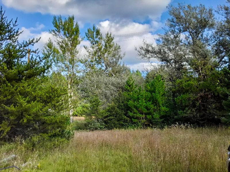 VACANT LAND LISTING 257230025