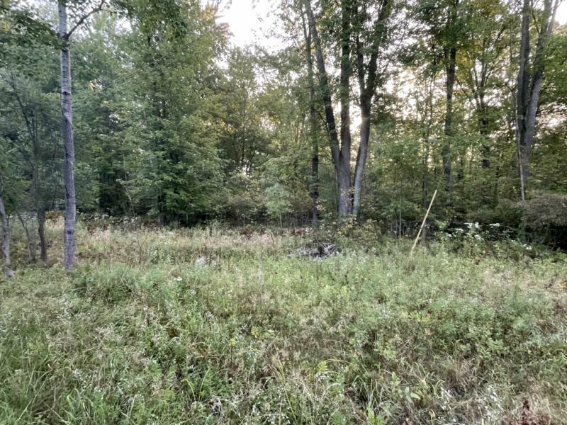 VACANT LAND LISTING 038240072