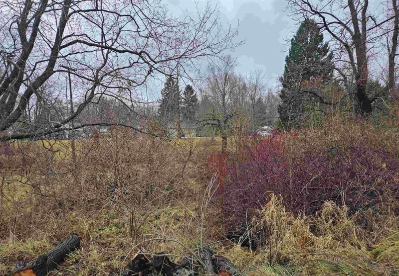 VACANT LAND LISTING 268 25 0001 Vacant land listing 268 25 0001
