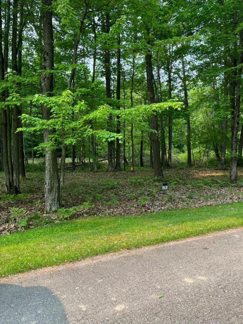 VACANT LAND LISTING 452230003